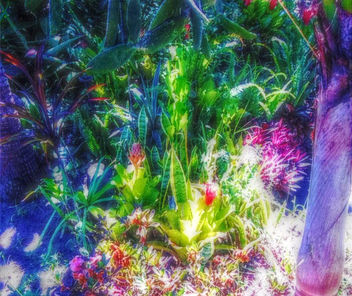 Gardens, South Africa - Free image #318855